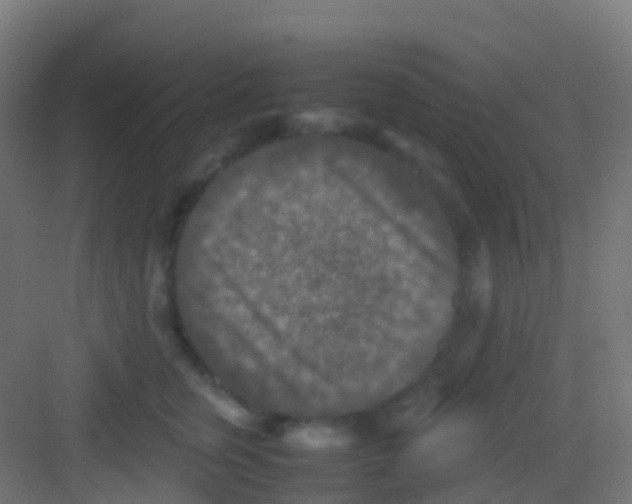 X0000081310759200702082110