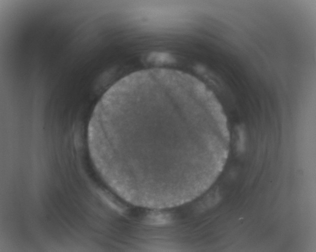 X0000081310760200702082110