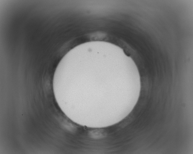 X0000081310761200702082110