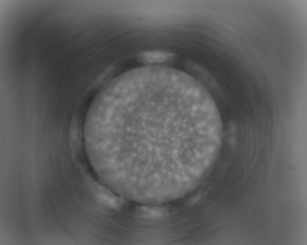 X0000081310763200702082110