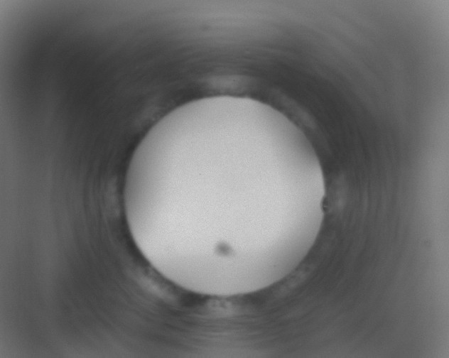 X0000081310764200702082110