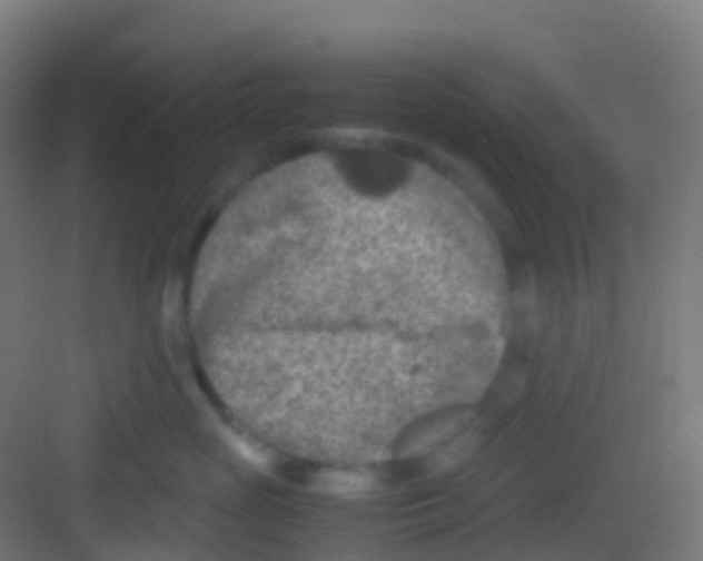 X0000081310765200702082110