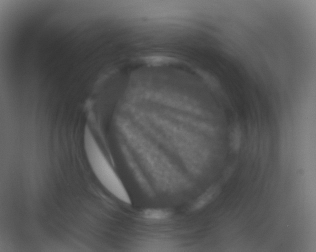 X0000081310766200702082110