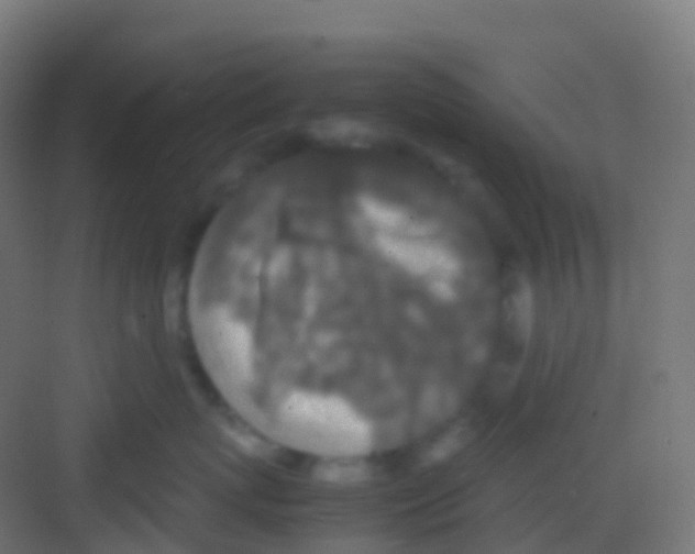 X0000081310767200702082110