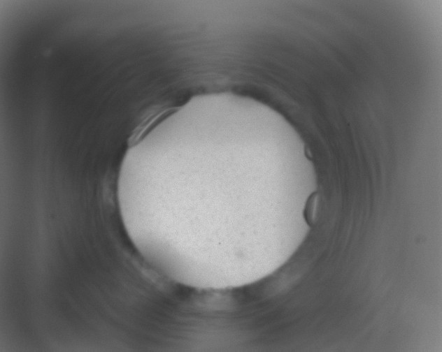 X0000081310768200702082110