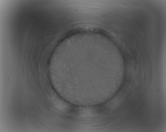 X0000081310769200702082109