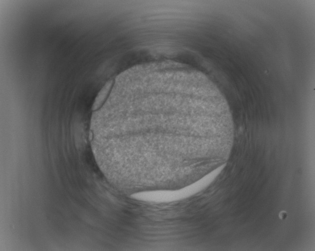 X0000081310772200702082109