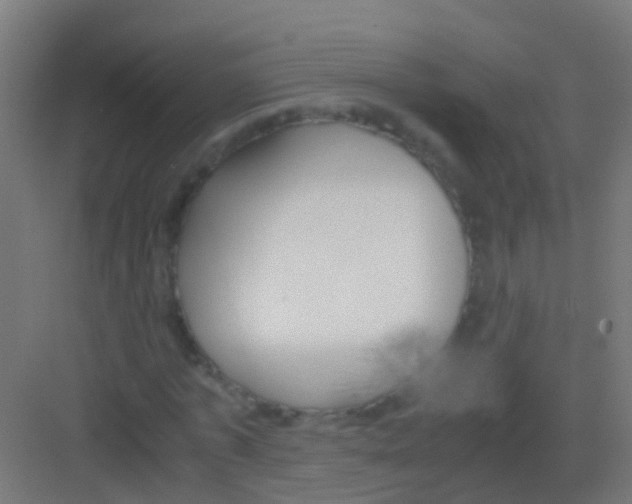 X0000081310773200702082109