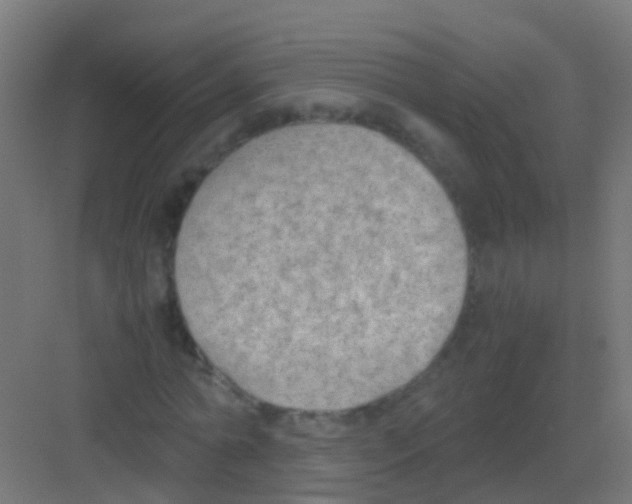 X0000081310774200702082109