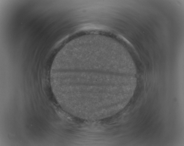 X0000081310775200702082109