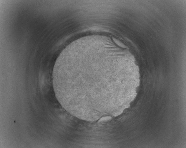 X0000081310776200702082109