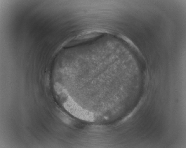 X0000081310777200702082109