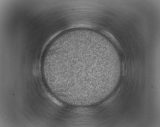 X0000081310780200702082109