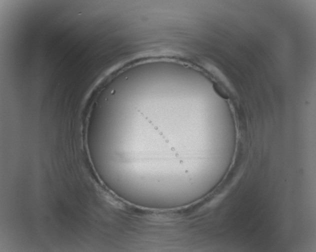 X0000081310781200702082109