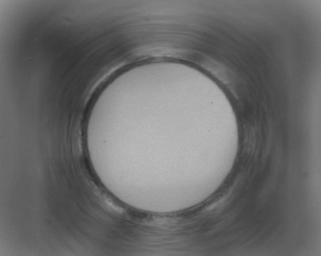 X0000081310782200702082109