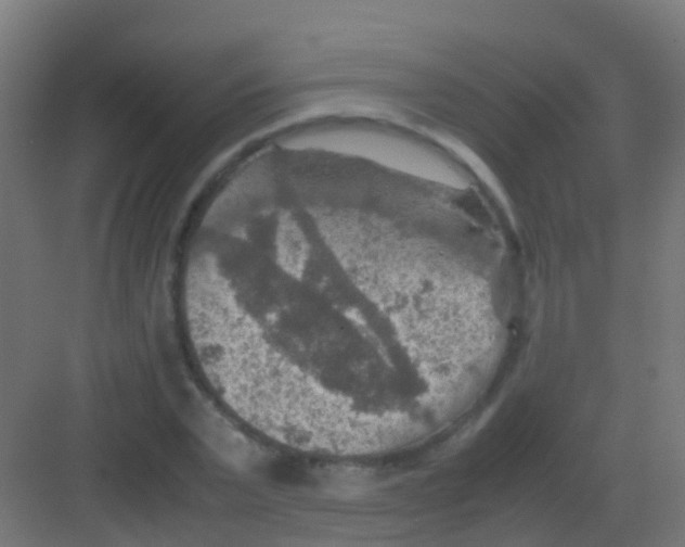 X0000081310783200702082109