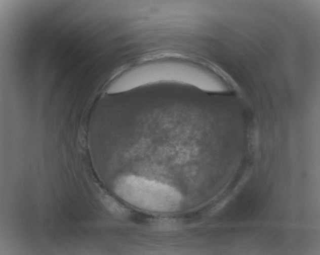 X0000081310785200702082109