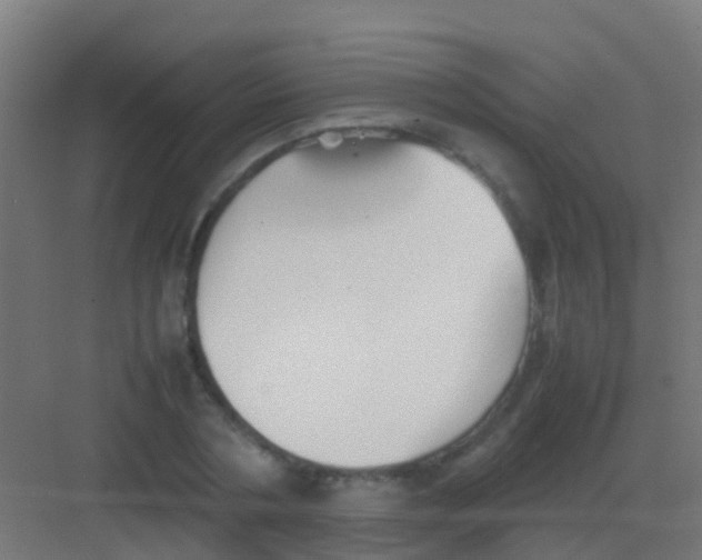 X0000081310786200702082109