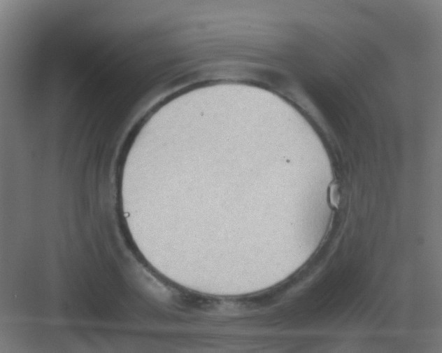 X0000081310787200702082109