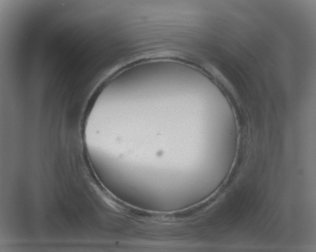 X0000081310789200702082109