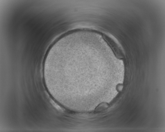 X0000081310791200702082109