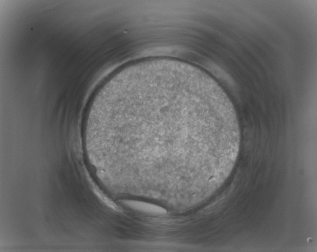 X0000081310792200702082109