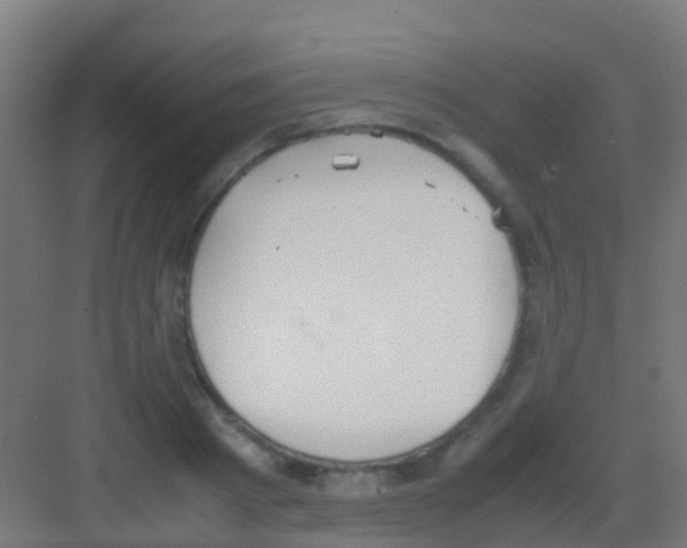 X0000081310793200702082109