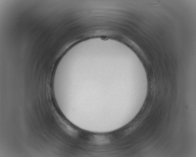 X0000081310794200702082109