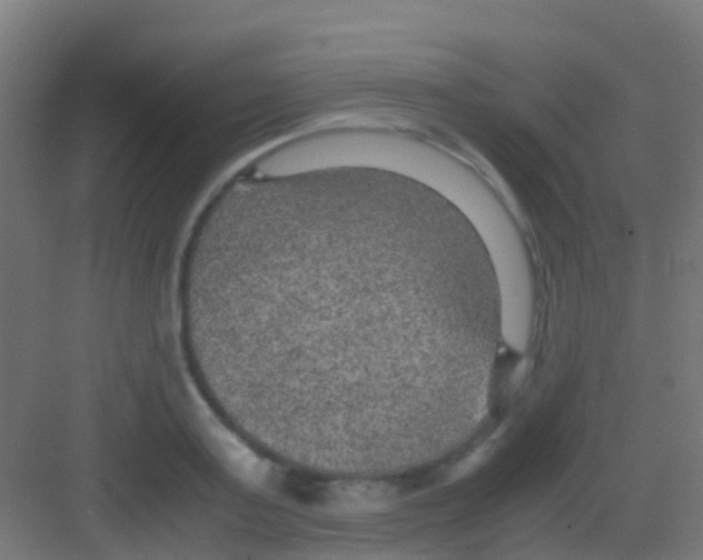 X0000081310795200702082109