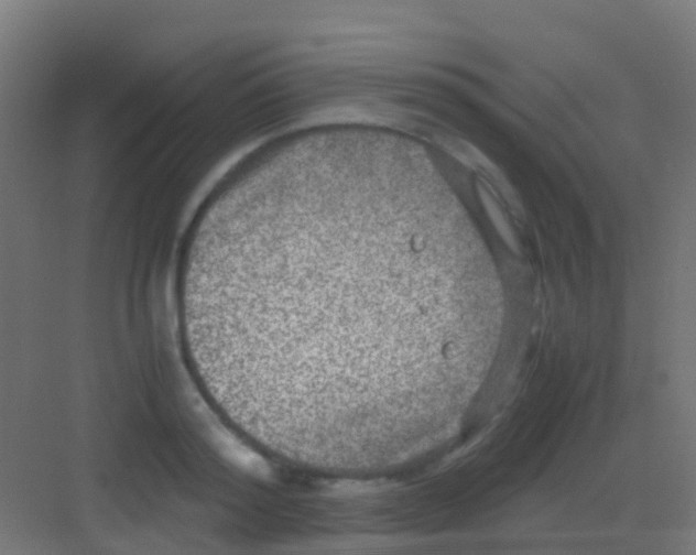 X0000081310796200702082109