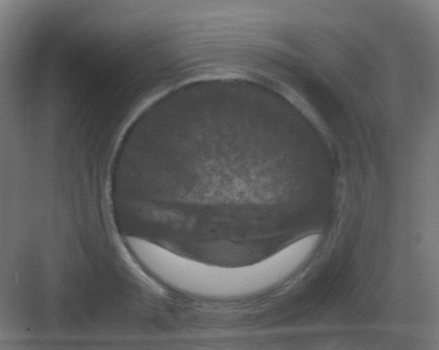 X0000081310797200702082109