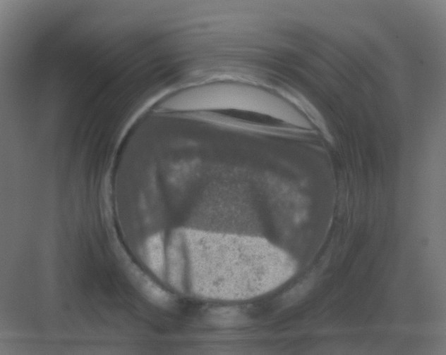 X0000081310798200702082109