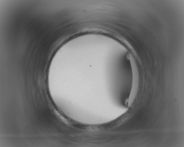 X0000081310799200702082109