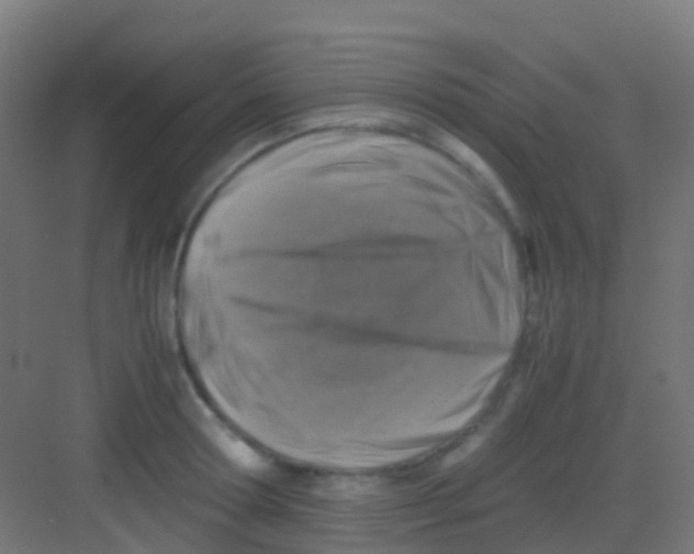 X0000081310802200702082109