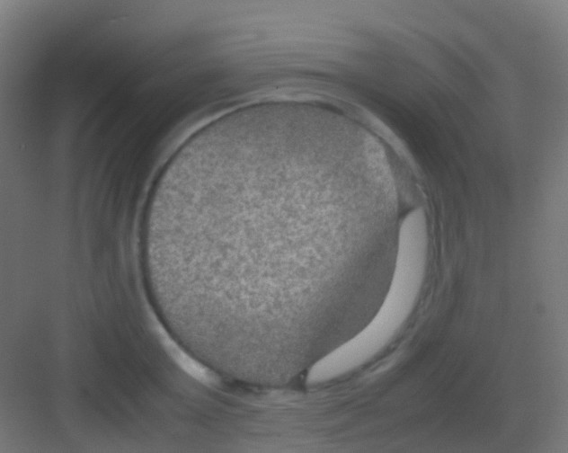 X0000081310803200702082109