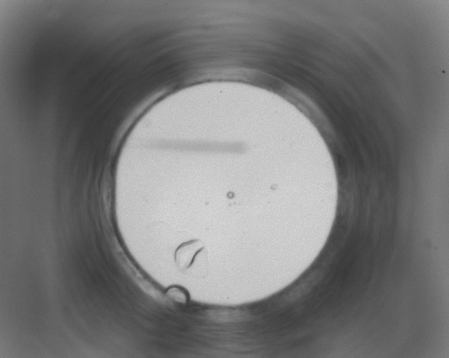 X0000081310804200702082109