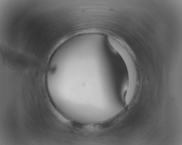 X0000081310805200702082109