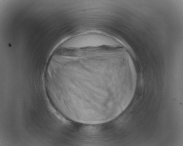 X0000081310806200702082109