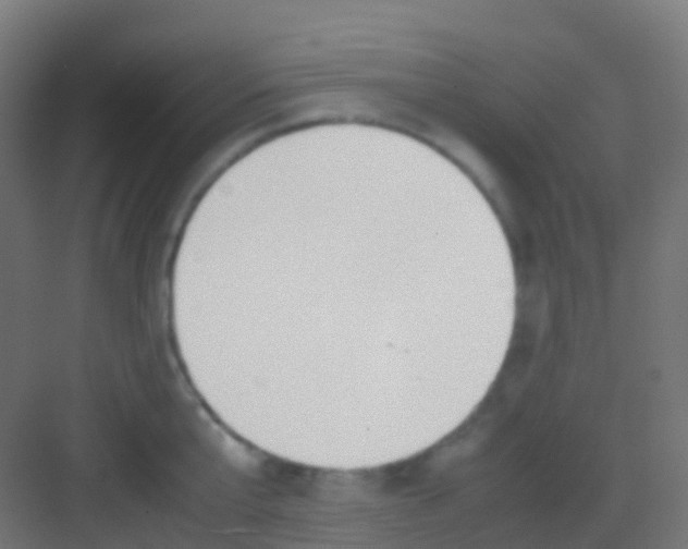 X0000081310807200702082109