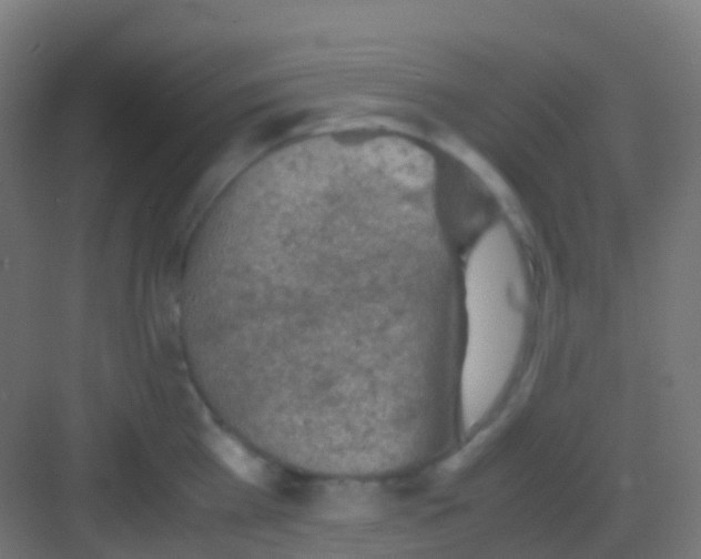 X0000081310809200702082109