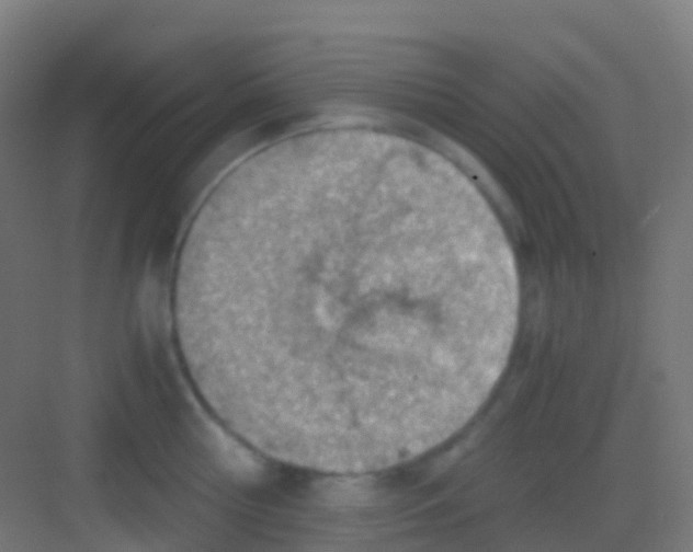 X0000081310810200702082109