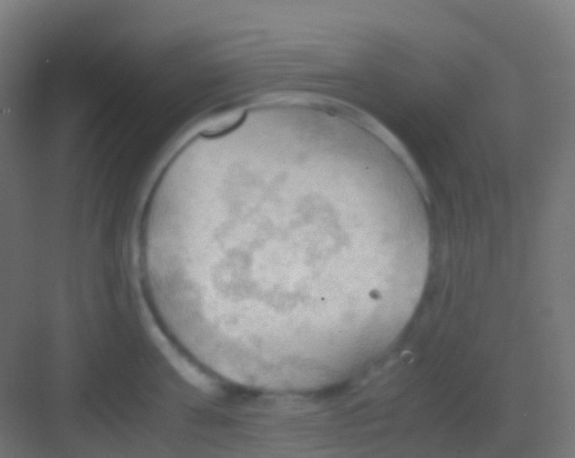 X0000081310811200702082109