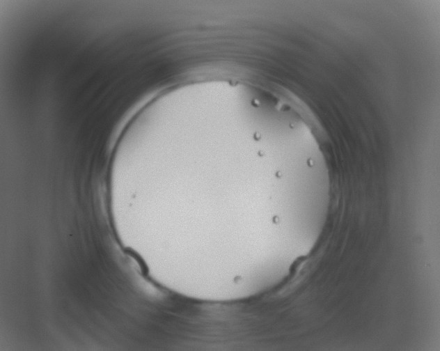 X0000081310812200702082109