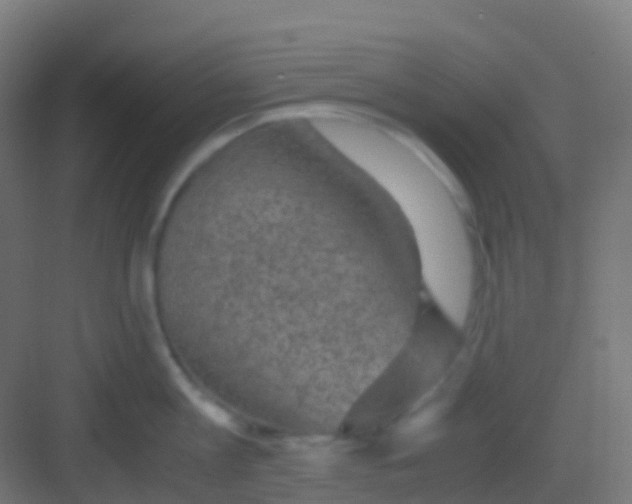 X0000081310813200702082109