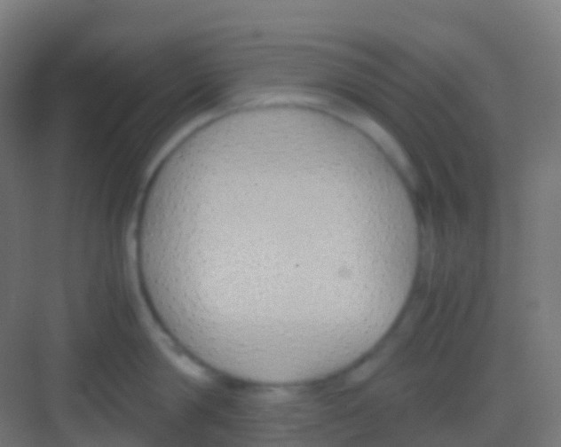 X0000081310814200702082108