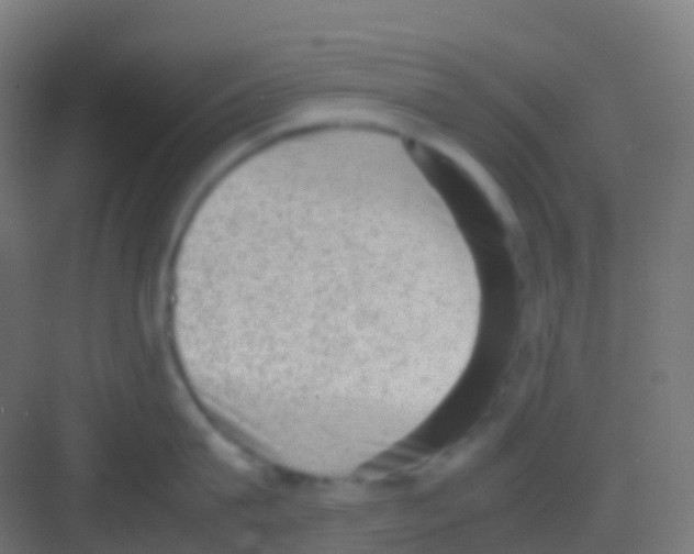 X0000081310815200702082108