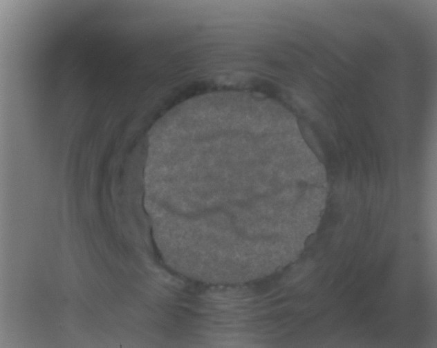 X0000081310817200702082108