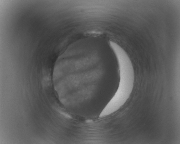 X0000081310818200702082108