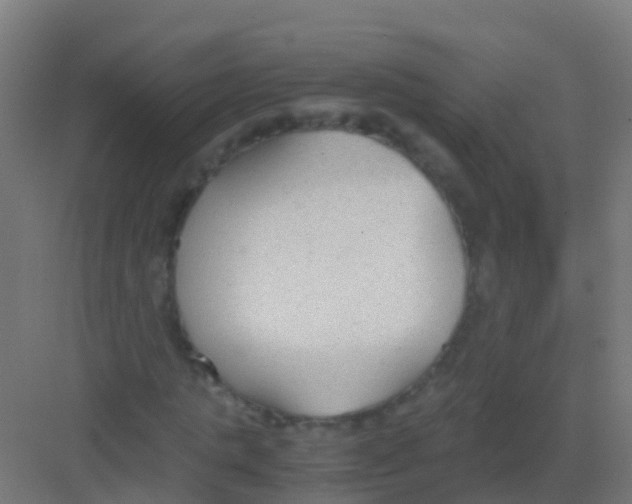 X0000081310821200702082108