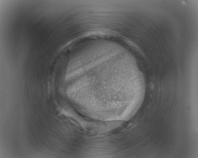 X0000081310822200702082108